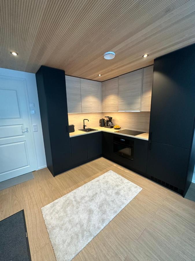 Levi Aurora Sky Villa Exteriör bild